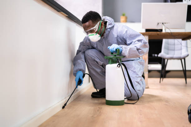 Best Pest Exclusion Services  in Paulsboro, NJ